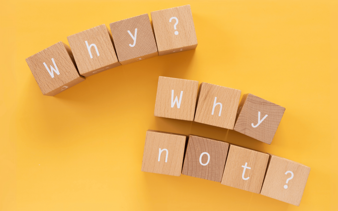 “Why Not” Are The Two Words You Need to Ask Yourself More